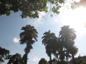 IMG_3559.JPG