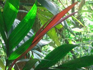 IMG_0055.jpg
