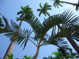 IMG_0078.jpg