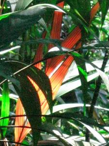 IMG_0053.jpg