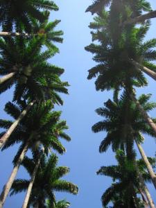 IMG_0079.jpg