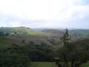 landscape_rsz.jpg