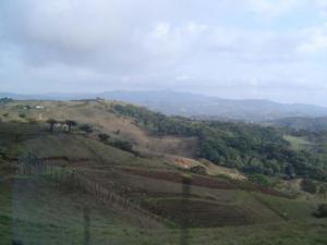 landscape_3.jpg