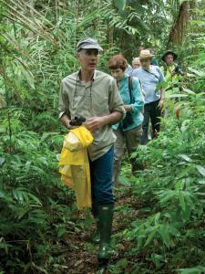 BRA1004ForestWalk.jpg