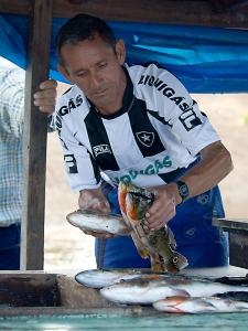 BRA1004BuyingFish.jpg
