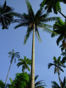 DSCN0923.JPG