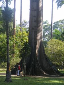 DSCF4926.JPG
