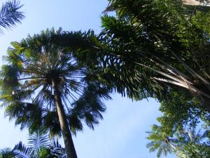 DSCF4700.JPG