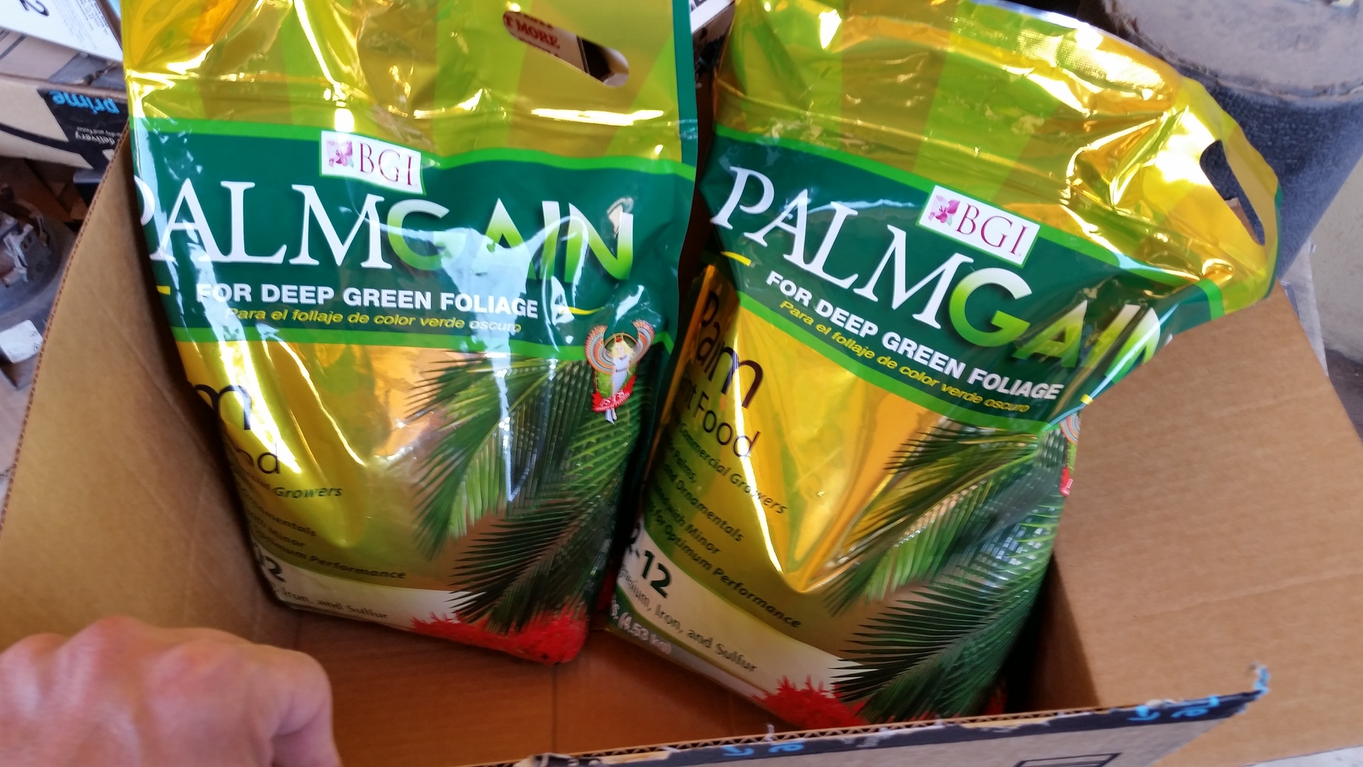 Palm Fertilizer DISCUSSING PALM TREES WORLDWIDE PalmTalk