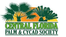 Central & North Florida Palm and Cycad Society Holiday Gathering