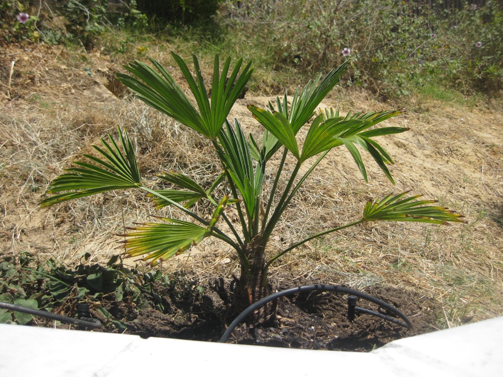 Hana Keu Garden