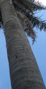 post-2078-1230949757_thumb.jpg