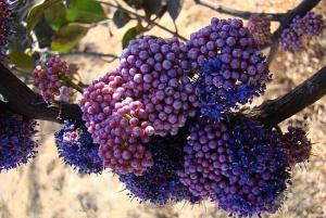 post-1017-055891800 1295327687_thumb.jpg