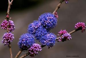 post-1017-094401200 1295327697_thumb.jpg