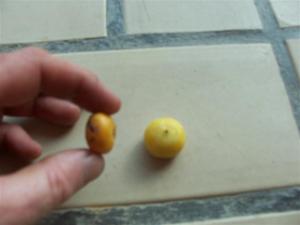 post-432-1235676657_thumb.jpg