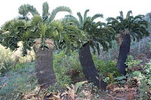 post-1270-003436000 1298381265_thumb.jpg