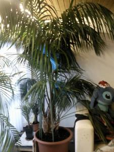 post-3495-057047400 1297520686_thumb.jpg