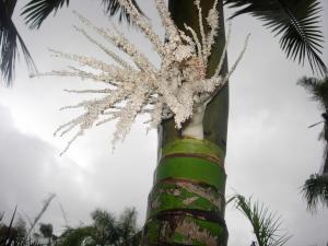 post-5111-033690100 1298606080_thumb.jpg