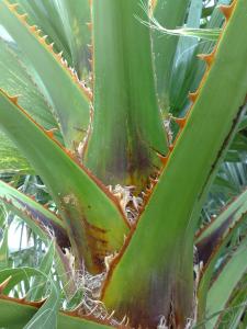 post-5120-034798400 1297706688_thumb.jpg