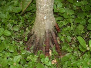 post-250-12688841313975_thumb.jpg