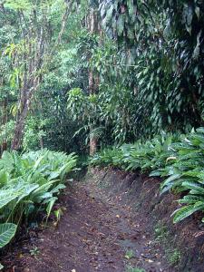 post-747-055866900 1302742600_thumb.jpg