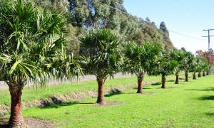 post-249-042892000 1306408446_thumb.jpg