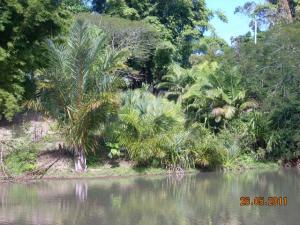 post-5709-089575900 1306378444_thumb.jpg