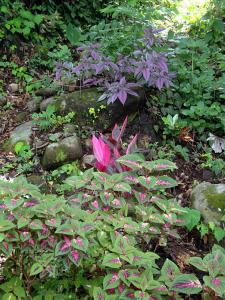 post-747-048606600 1306716584_thumb.jpg