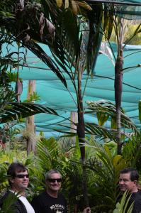 post-42-073778700 1309176733_thumb.jpg