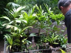 post-51-040911200 1309171834_thumb.jpg