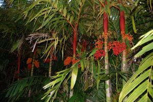 post-22-069629700 1309497958_thumb.jpg