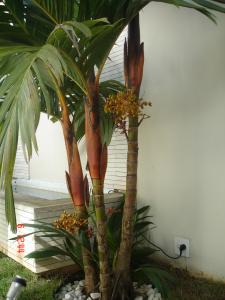 post-5900-004743600 1309988093_thumb.jpg