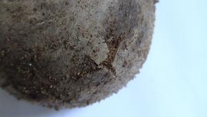 post-1050-1250095417_thumb.jpg