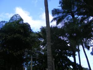post-157-1250479055_thumb.jpg