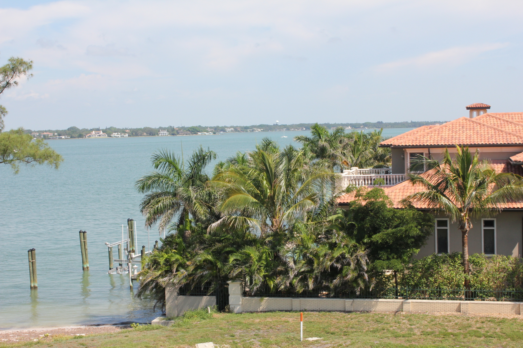 New coconuts in Sarasota DISCUSSING PALM TREES WORLDWIDE PalmTalk