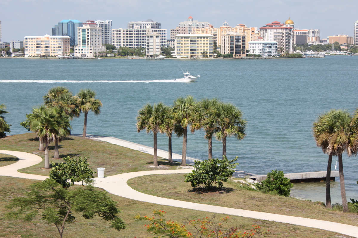 New coconuts in Sarasota DISCUSSING PALM TREES WORLDWIDE PalmTalk