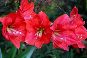 post-1017-022114500 1285756598_thumb.jpg