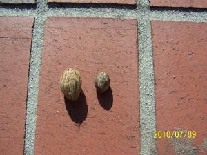 post-518-042712900 1284496912_thumb.jpg