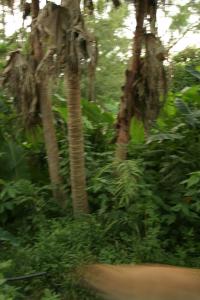 post-562-022734700 1284163280_thumb.jpg