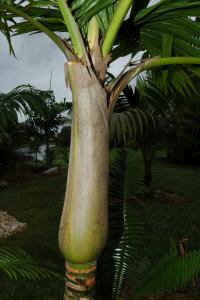 post-1035-1224805848_thumb.jpg
