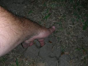 post-1207-1224460791_thumb.jpg