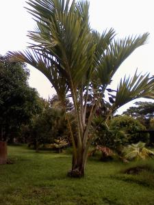 post-3769-034931600 1286741317_thumb.jpg