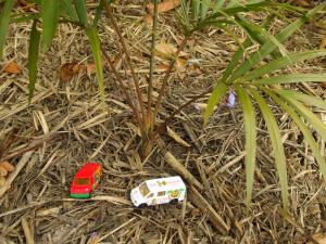 post-51-066580800 1288520655_thumb.jpg