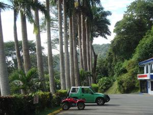 post-747-000069000 1287458623_thumb.jpg