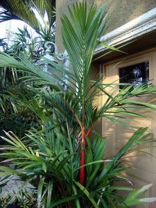 post-747-024978500 1286842836_thumb.jpg