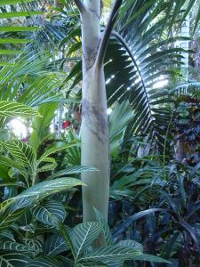 post-747-057159900 1286847356_thumb.jpg