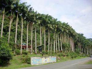 post-747-064335100 1287459368_thumb.jpg