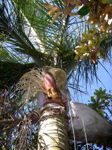 post-22-1227915252_thumb.jpg
