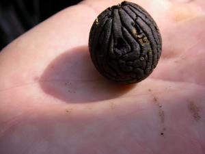 post-22-1227915275_thumb.jpg