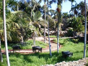 post-1359-008155400 1290990029_thumb.jpg